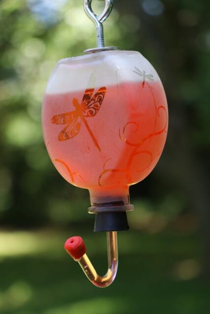 Round Frosted Dragonfly Garden Bottle Hummingbird Feeder - image 1