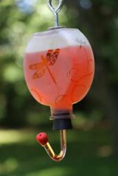 Round Frosted Dragonfly Garden Bottle Hummingbird Feeder - thumbnail 1
