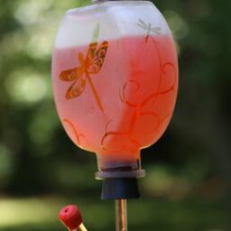 Round Frosted Dragonfly Garden Bottle Hummingbird Feeder - thumbnail 3