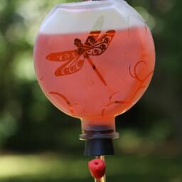 Round Frosted Dragonfly Garden Bottle Hummingbird Feeder - thumbnail 2