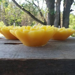 Beeswax Floating Dahlia Candle Michigan Flower Candles, Set Of 3 - thumbnail 3