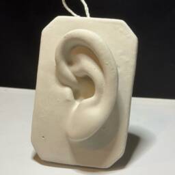 Handmade Plaster Cast Of Ear, Art Practice, Drawing, Sculpture, Unique Home Decor - thumbnail 2