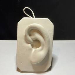 Handmade Plaster Cast Of Ear, Art Practice, Drawing, Sculpture, Unique Home Decor - thumbnail 3