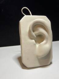 Handmade Plaster Cast Of Ear, Art Practice, Drawing, Sculpture, Unique Home Decor - thumbnail 1