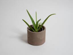 Cement Planter - Brown - thumbnail 1
