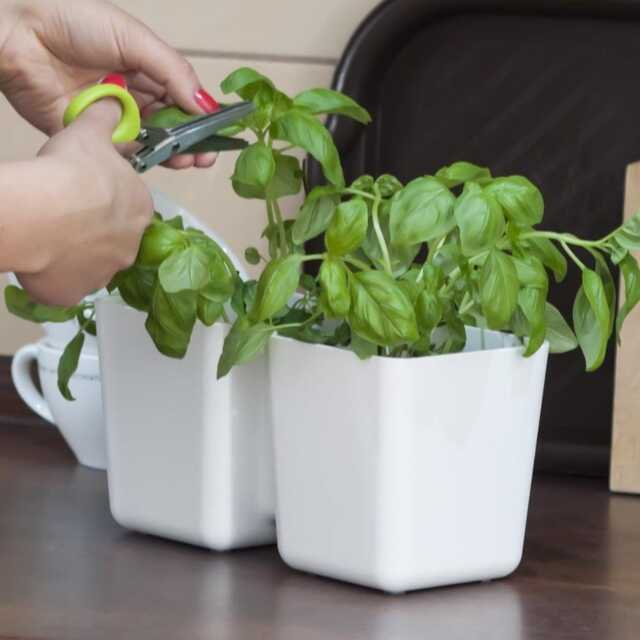 Recycled Plastic Indoor Herb Planter Kit Twin Pots With 6-Blade Scissors - image 1