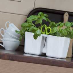 Recycled Plastic Indoor Herb Planter Kit Twin Pots With 6-Blade Scissors - thumbnail 3