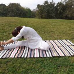 Artisan Organic Cotton Yoga & Meditation Rugs, Handwoven Floor Mat, Indian Handloomed Rug, Cotton Mat, Natural Fibre Rug - thumbnail 4