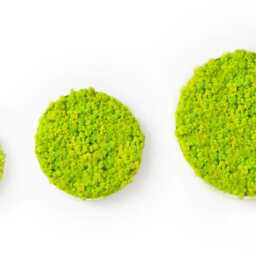 Moss Wall Art ~ Green Picture Decor Design~ Preserved Scandinavian Moss Circle Picture - thumbnail 4