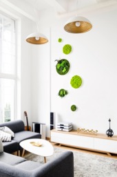 Moss Wall Art ~ Green Picture Decor Design~ Preserved Scandinavian Moss Circle Picture - thumbnail 1