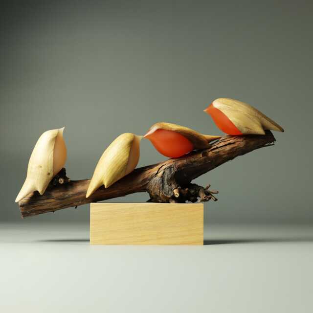 Robin Family - 102 - image 1