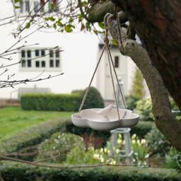 Flower Bowl Eco Bird Feeder - thumbnail 3