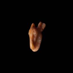 Handcrafted God Seth Amulet Egyptian Of Chaos Statuette - thumbnail 4
