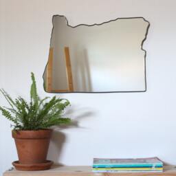 Oregon Mirror/Wall State Outline Silhouette Portland Eugene - thumbnail 2