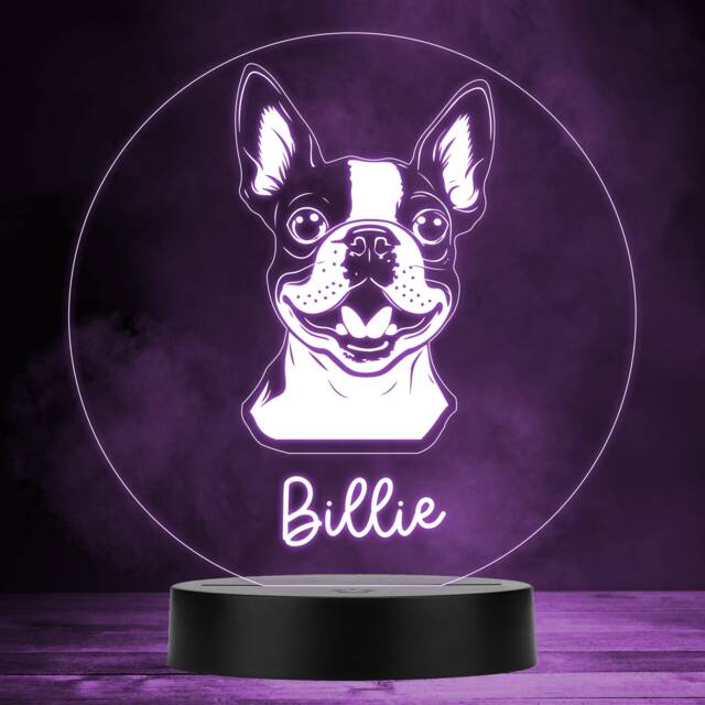 Boston Terrier Dog Pet Multicolour Personalised Gift Led Lamp Night Light - Bedroom - image 1