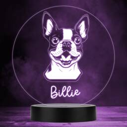 Boston Terrier Dog Pet Multicolour Personalised Gift Led Lamp Night Light - Bedroom