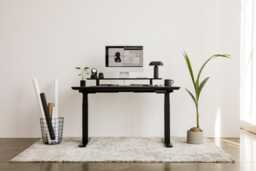 Solid Wood Standing Desk Bundle Oakywood Electric Adjustable Height