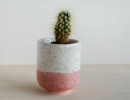 Plant Pot - Speckles Blush Pink Handmade Ceramics