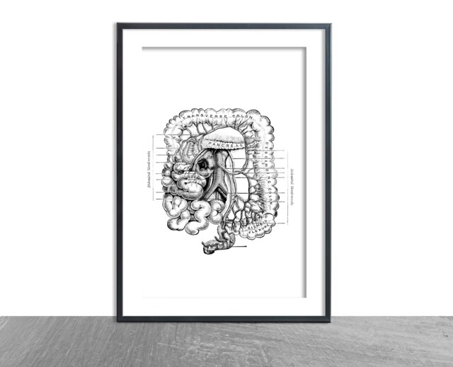 Pancreas Antique Print Anatomy D??cor Anatomical Art Patent Prints, Medical School Student Wall Art Poster Nurse Doctor Surgeon