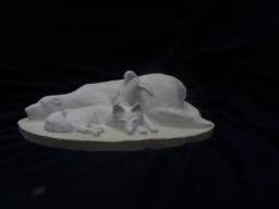 Polar Night - thumbnail 1