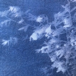 Cyanotype Pillow - thumbnail 3
