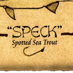 Speckled Trout Art Print 11x14, Spotted Sea Trout, Fish Prints, Art, Saltwater Fish, Fishing, Speck, Inshore Sport Fishing - thumbnail 3