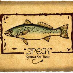 Speckled Trout Art Print 11x14, Spotted Sea Trout, Fish Prints, Art, Saltwater Fish, Fishing, Speck, Inshore Sport Fishing - thumbnail 2