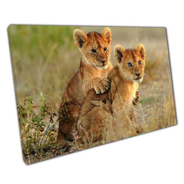 Wild Lion Cubs Wall Art Cuddling Wildlife Photography Canvas Print For Home Office Decor - image 1