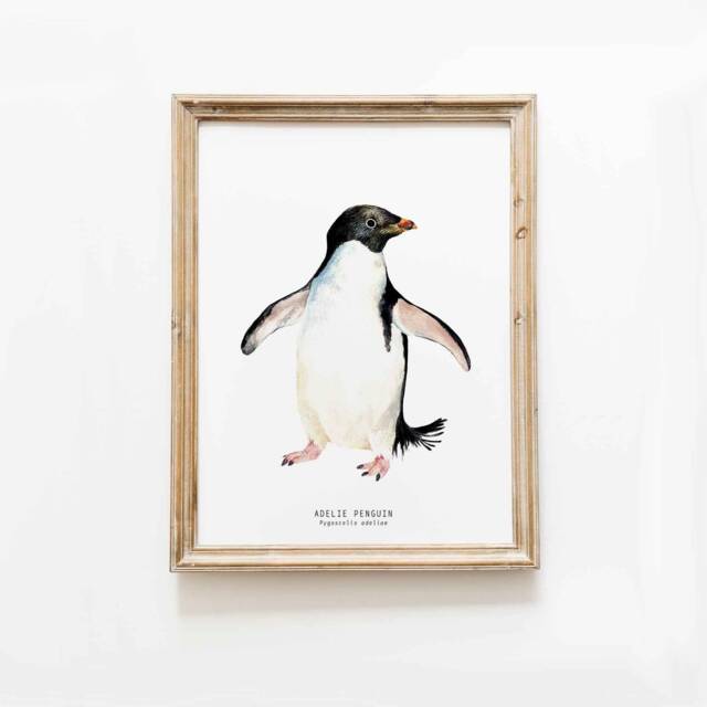 Ad??lie Penguin Watercolor Fine Art Print - Nature Wall Home D??cor Children's Bedroom Coastal Prints Pygoscelis Adeliae - image 1