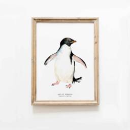 Ad??lie Penguin Watercolor Fine Art Print - Nature Wall Home D??cor Children's Bedroom Coastal Prints Pygoscelis Adeliae - thumbnail 1