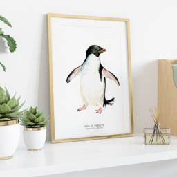 Ad??lie Penguin Watercolor Fine Art Print - Nature Wall Home D??cor Children's Bedroom Coastal Prints Pygoscelis Adeliae - thumbnail 3