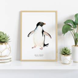 Ad??lie Penguin Watercolor Fine Art Print - Nature Wall Home D??cor Children's Bedroom Coastal Prints Pygoscelis Adeliae - thumbnail 2