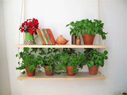 Hanging Plant Shelf Indoor Herb Garden, Rope & Wood - thumbnail 1