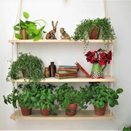 Hanging Plant Shelf Indoor Herb Garden, Rope & Wood - thumbnail 3