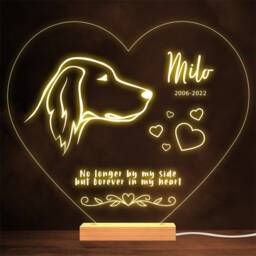 Irish Setter Dog Memorial Pet Loss Forever in Personalised Gift Lamp Night Light