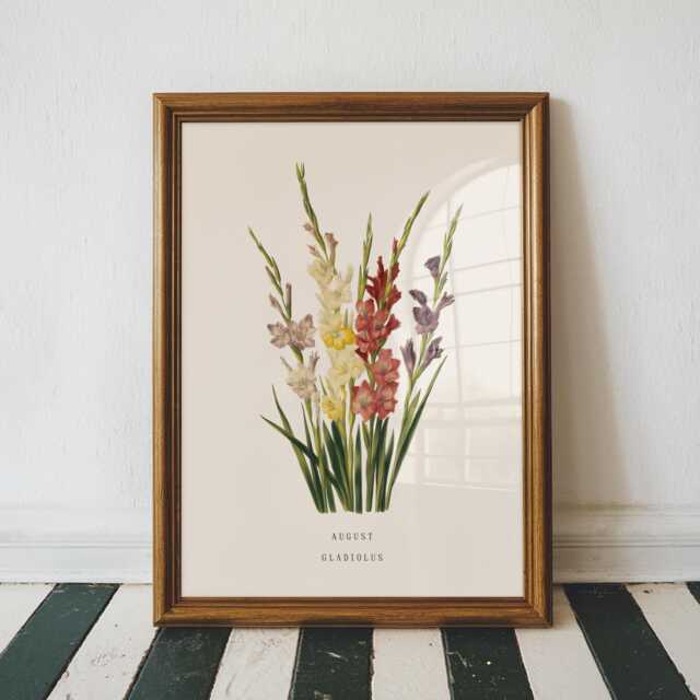 August Gladiolus Birth Flower Print - Vintage Botanical Wall Art, Birthday Gift For Her - image 1
