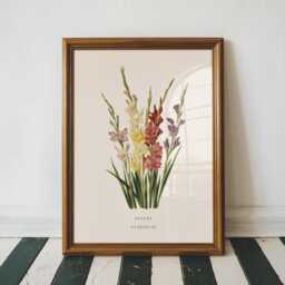 August Gladiolus Birth Flower Print - Vintage Botanical Wall Art, Birthday Gift For Her - thumbnail 1