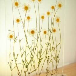 Wedding Gifts For Couple Lamp Modern Daisies Led Epoxy Resin Lamps Tables Flower Art Home Decor Design Rustic Scandinavian Bedside - thumbnail 3