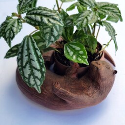 Original Otter Bowl, Flower Pot, Succulent Planter, 3D Printed, Wooden Dish - thumbnail 2