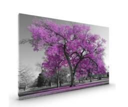 Mauve Black White Tree Canvas Framed Glossy Coated Premium With Metal Hanger Various Sizes - thumbnail 1