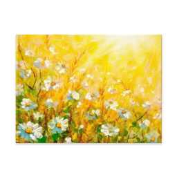 Daisy Meadow Canvas Print, Floral Wall Art, Ready To Hang - thumbnail 1
