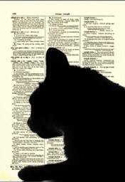 Black Cat Art Print On An Antique Dictionary Page From 1897 - thumbnail 3