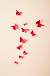 3D Butterfly Wall Art Red Paper Butterflies - thumbnail 1
