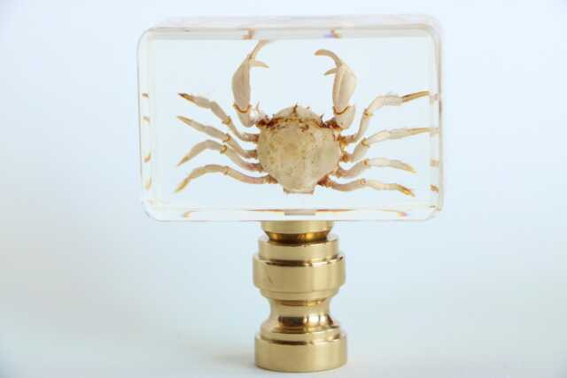 Crab Specimen Lamp Finials - Natural Sea Creatures in Clear Acrylic On Shiny Brass Bases A Single Finial Or Matching Pair - image 1