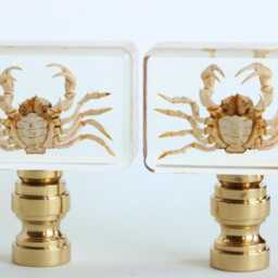 Crab Specimen Lamp Finials - Natural Sea Creatures in Clear Acrylic On Shiny Brass Bases A Single Finial Or Matching Pair - thumbnail 2