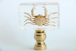 Crab Specimen Lamp Finials - Natural Sea Creatures in Clear Acrylic On Shiny Brass Bases A Single Finial Or Matching Pair - thumbnail 1
