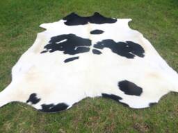 Black & White - Mostly White Large New Cowhide Rug Natural Hair On - 6x6 Ft Size Approx Tri-Color Soft Carpet Cow Hide B-W - thumbnail 1