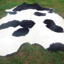Black & White - Mostly White Large New Cowhide Rug Natural Hair On - 6x6 Ft Size Approx Tri-Color Soft Carpet Cow Hide B-W - thumbnail 3