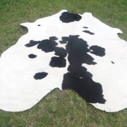 Black & White - Mostly White Large New Cowhide Rug Natural Hair On - 6x6 Ft Size Approx Tri-Color Soft Carpet Cow Hide B-W - thumbnail 2