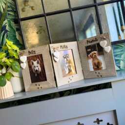 Triple Dog Or Cat Wooden Photo Frame - Personalised Driftwood Picture For Three Pets, Engraved Names With Paw Prints/6x4 - thumbnail 1